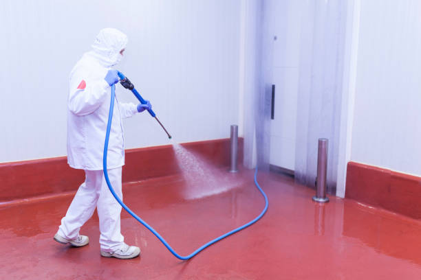 Best Graffiti Removal  in Balm, FL